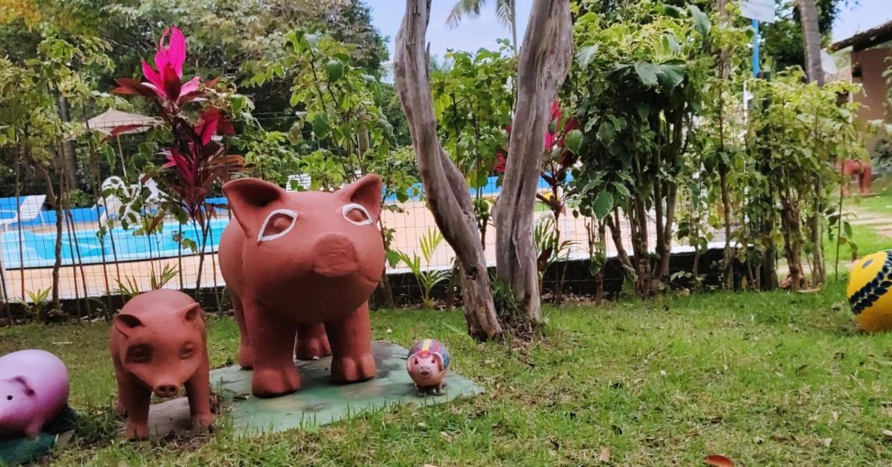 Pousada Ecogreen Imbassai Mata de Sao Joao Bagian luar foto